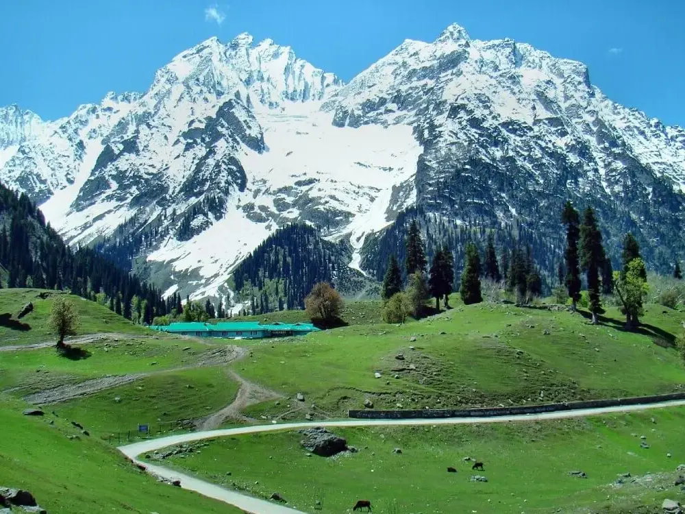 Kashmir Paradise