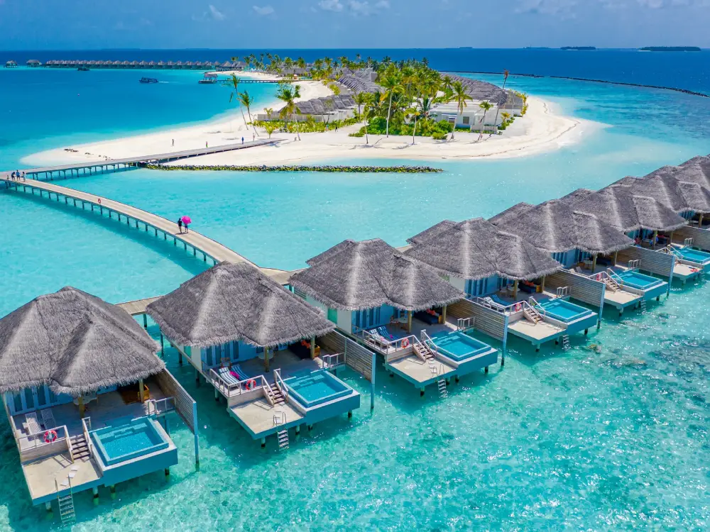 Maldives Honeymoon
